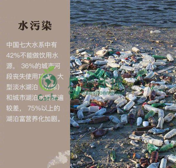 世界地球日 我們能為地球做些什么？(圖2)