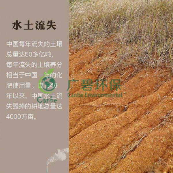 世界地球日 我們能為地球做些什么？(圖7)