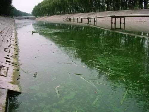城市黑臭河道如何治理？河道黑臭水體治理思路(圖1)