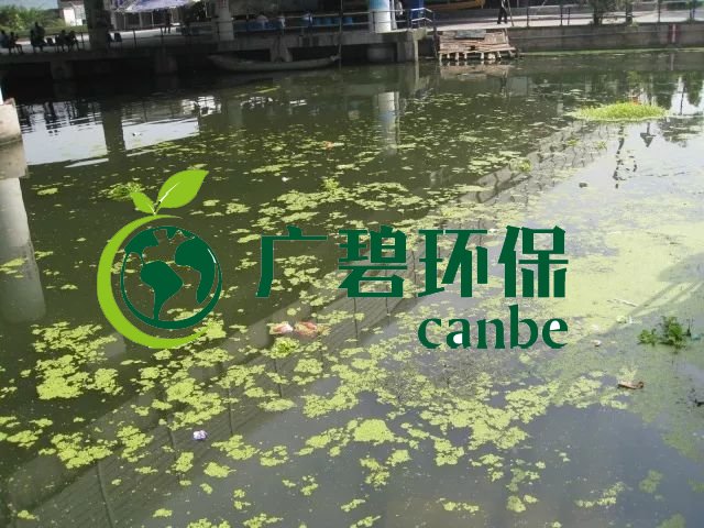 城市黑臭河道如何治理？河道黑臭水體治理思路(圖3)