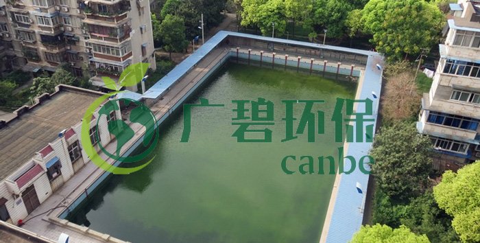 游泳池水變綠是什么原因？游泳池水處理方法(圖1)