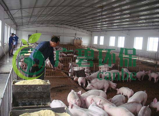 什么是養(yǎng)殖廢水？養(yǎng)殖廢水處理工藝(圖1)