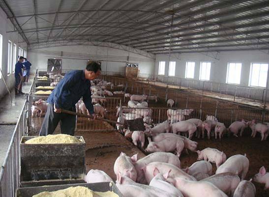 什么是養(yǎng)殖廢水？養(yǎng)殖廢水處理工藝