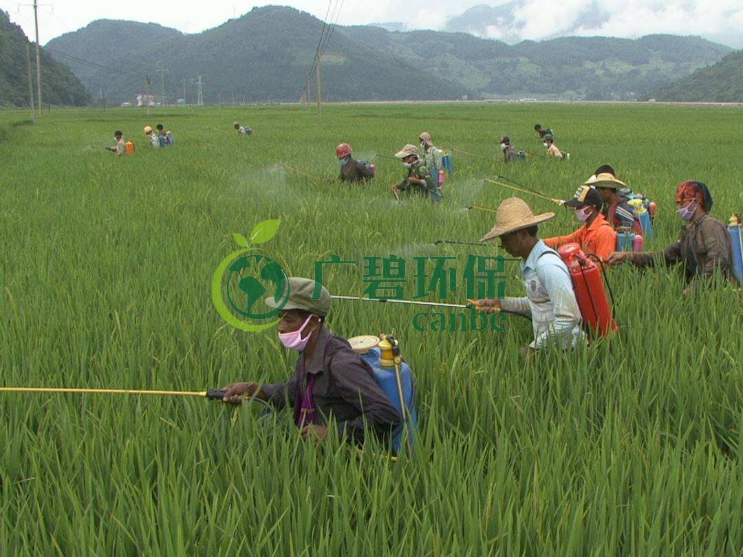 農(nóng)藥廢水是什么？農(nóng)藥廢水特點與處理工藝(圖1)