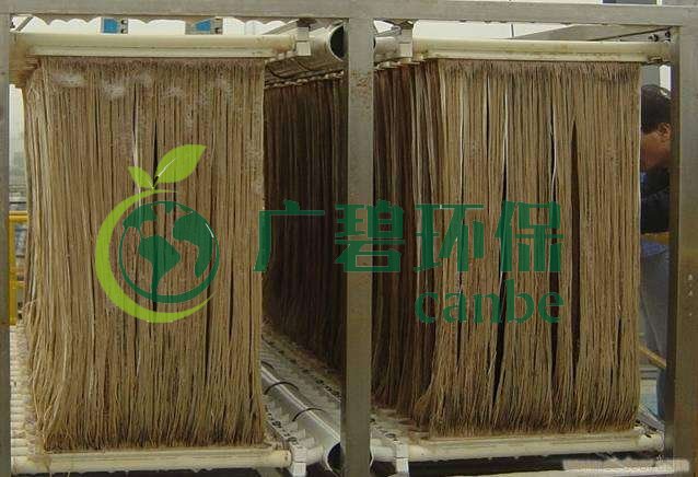 MBR污泥膨脹怎么處理？污泥膨脹的處理方法(圖1)