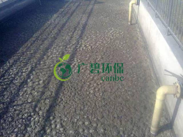 污泥發(fā)黑是什么原因造成？污泥發(fā)黑經(jīng)驗分享(圖1)