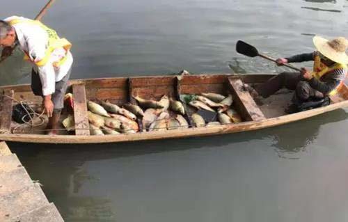 廣州旺旺食品廢水直排，永和河大量魚類死亡
