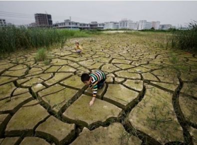 【世界土壤日】《土壤污染防治法》有哪些亮點？