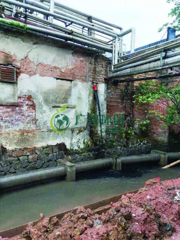 廣州海珠有污水直排河涌，3名涉案人員被行政拘留(圖1)