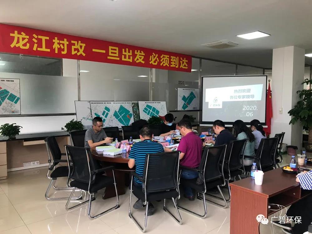 廣碧環(huán)?！洱埥?zhèn)坦西工業(yè)區(qū)地塊土壤污染狀況調(diào)查報(bào)告》通過評審(圖1)