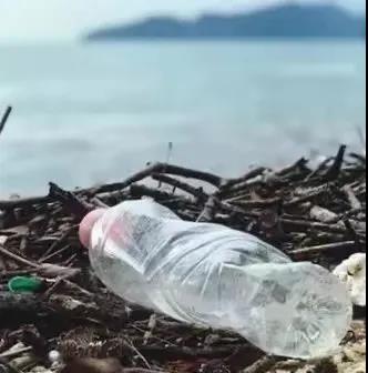 世界地球日|珍愛地球，人與自然和諧共生(圖8)