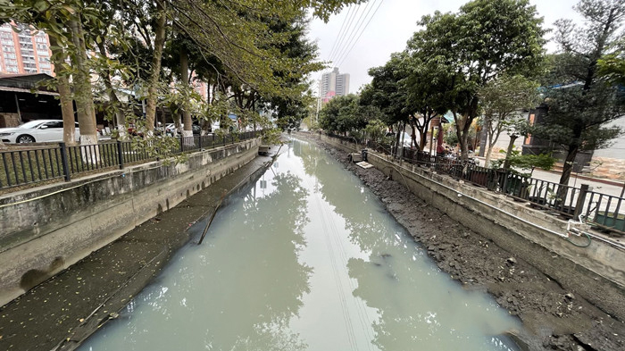 順德大良石洛涌、八坊涌整治見成效(圖3)